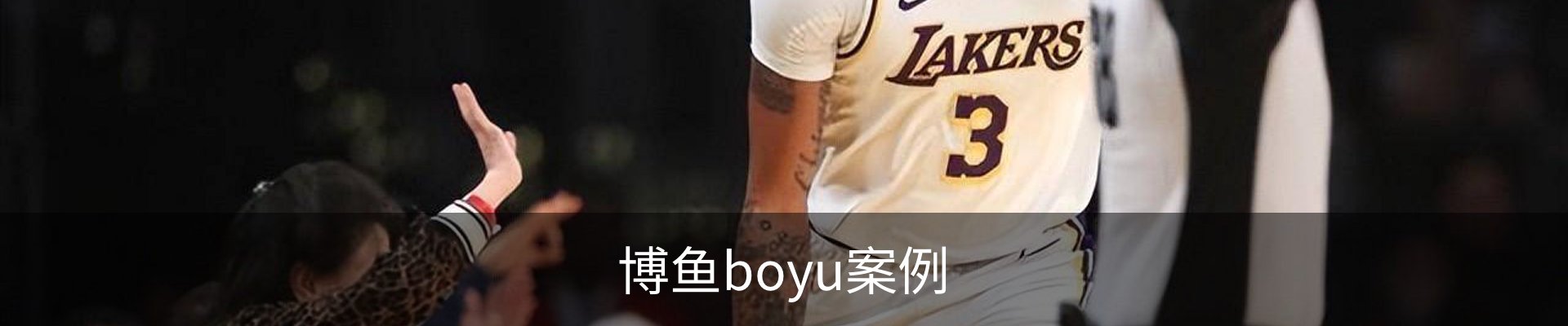 博鱼boyu案例